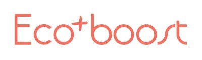Ecoboost technology